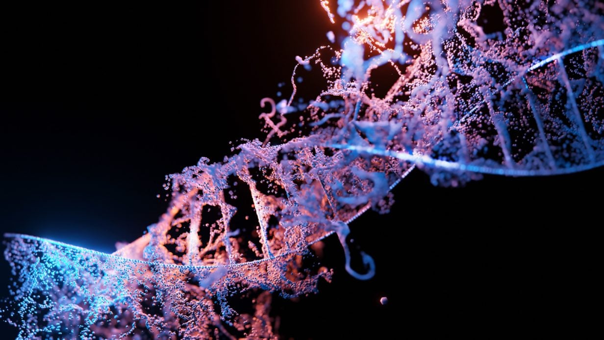 CRISPR DNA