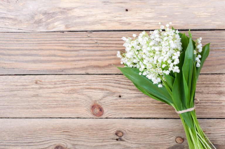Flower Bouquet