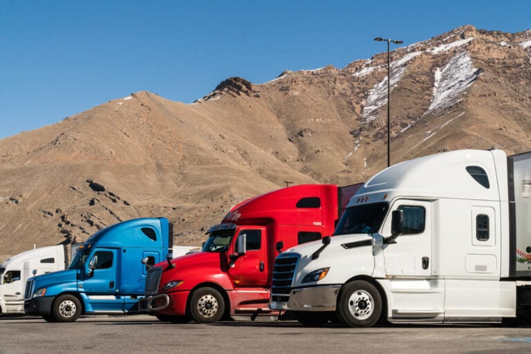 Cross-Border Trucking Services: The Culture of Pets in Italy