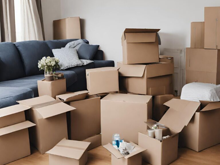 Trailblazers of Transition: Unconventional Movers in Amenia