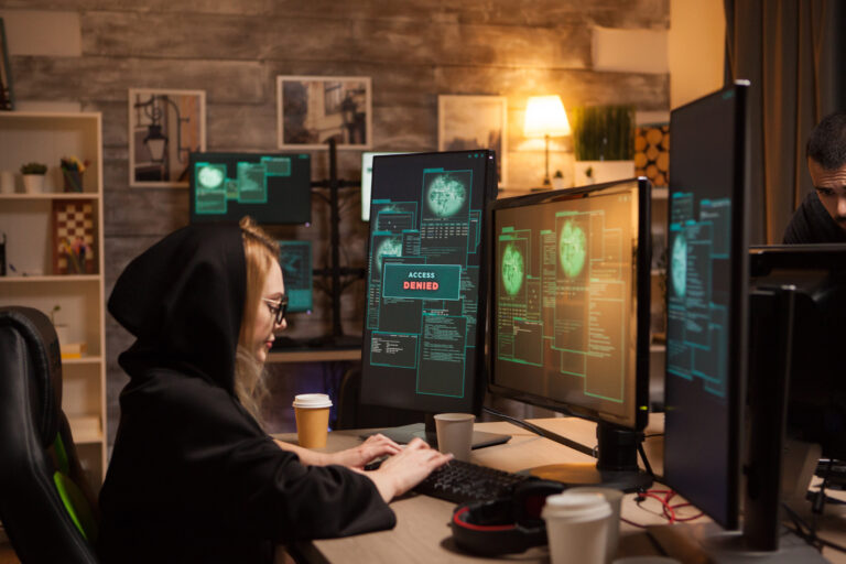 Why Do Hackers Target Government Websites?
